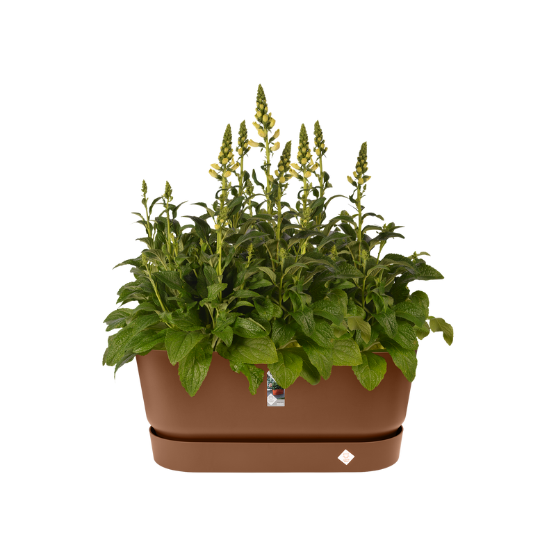 Elho Greenville Terrace Trough 80 Wheels - Planter - Ginger Brown - Outdoor! - L 35.00 x W 78.00 x H 33.50 cm