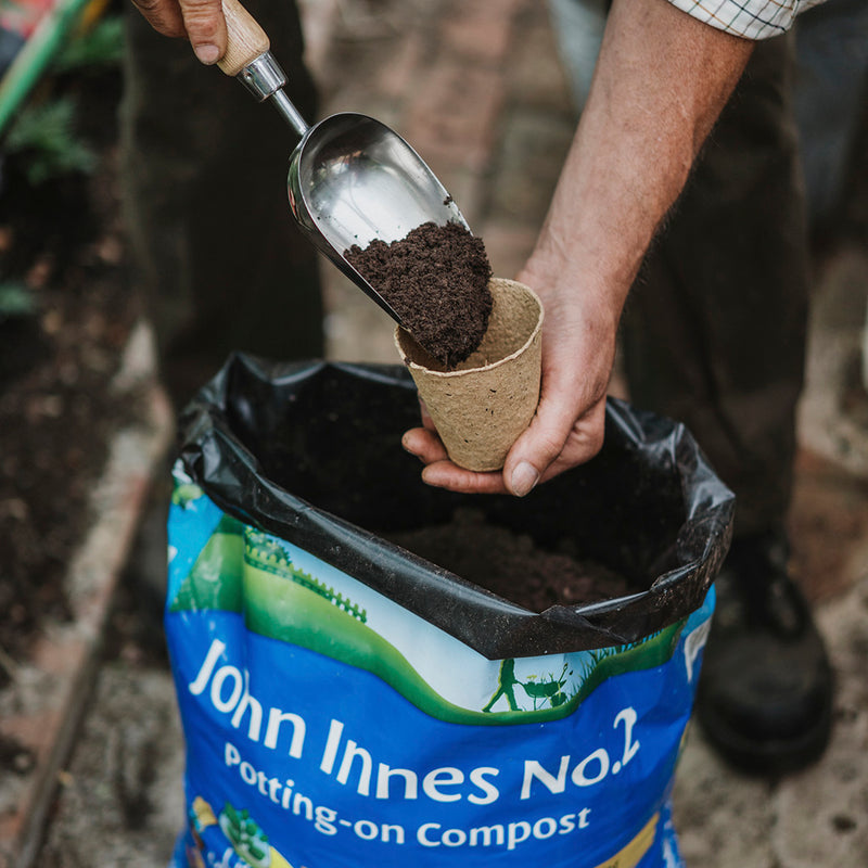 John Innes No.2 Potting-On Compost 10L