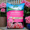 John Innes Ericaceous Compost 35L