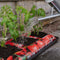 Big Tom Super Tomato Planter Large 55L