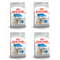 Royal Canin Mini Light Weight Care Adult Dry Dog Food, 3kg x 4 Pack