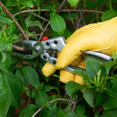 Razorcut Comfort Anvil Pruner