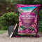 Ericaceous Planting & Potting Mix 60L