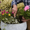 Container & Basket Planting Peat Free Mix 50L