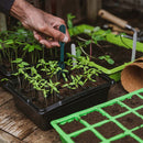 Planting & Labelling Set