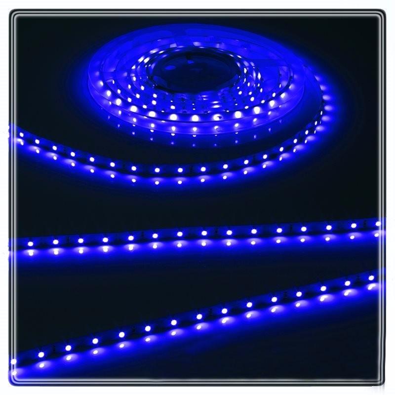 Knightsbridge Blue 12V LED IP20 Flexible Indoor Internal Rope Lighting Strip, 2 Meter