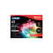 Status 40 Micro LED Indoor Battery Wire Lights - Multi Coloured
