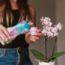 Orchid Water Ready To Use - 720ml