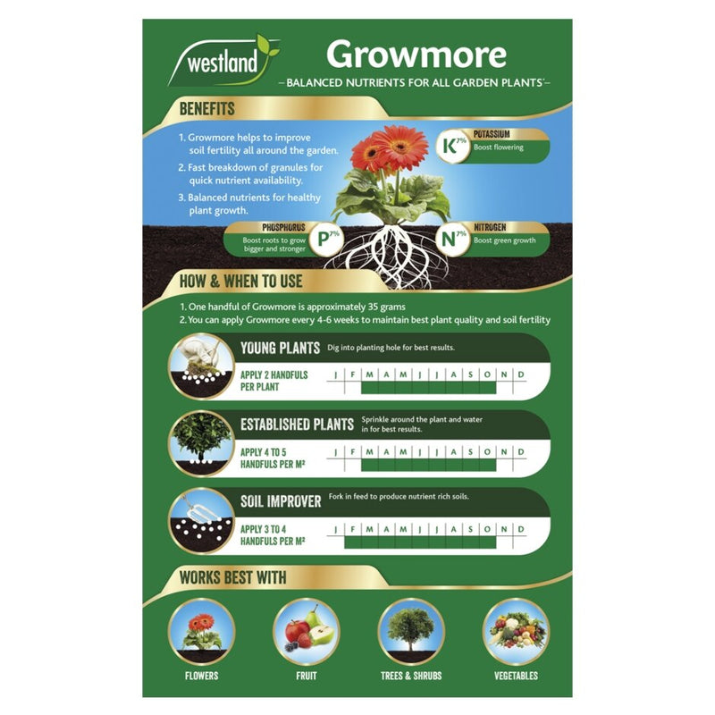 Growmore 4Kg