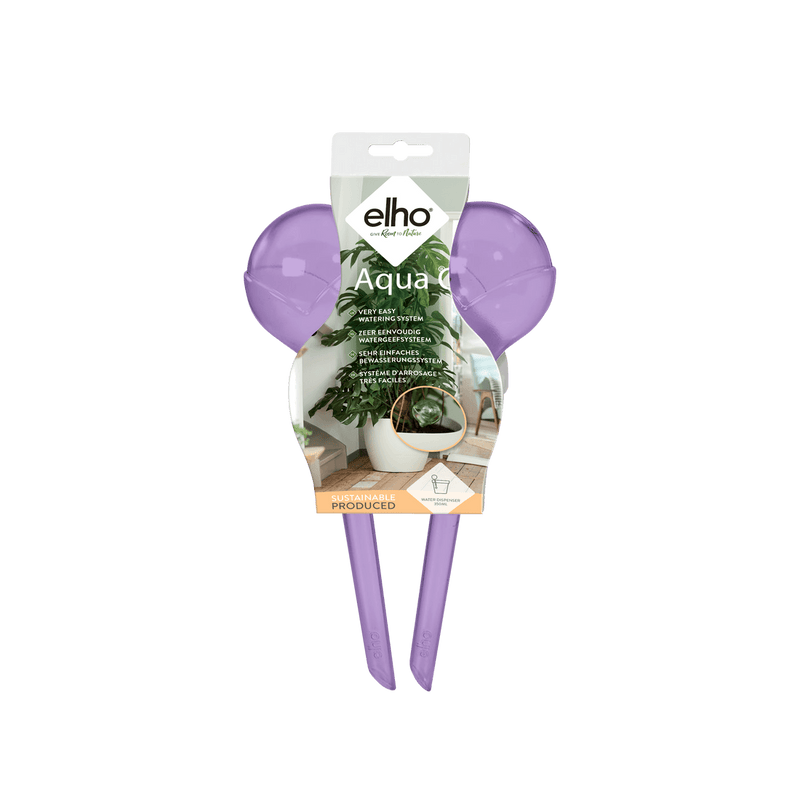 Aqua Care - Eggplant
