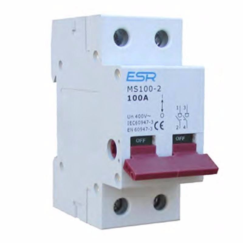 ESR 100A 2 Pole Mains Switch