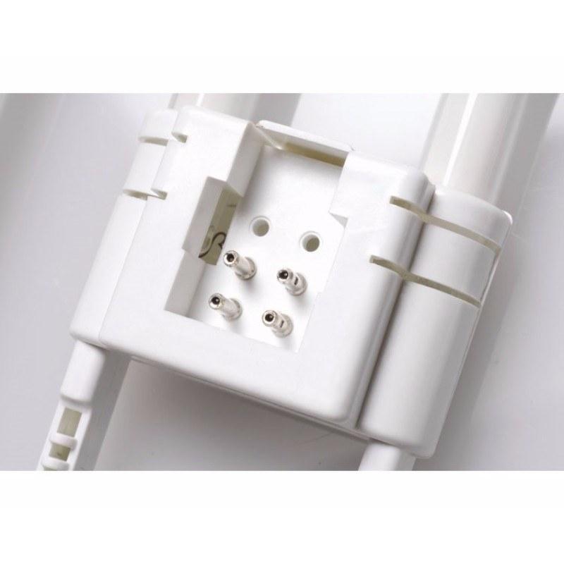 16W CFL GR10q 4 Pin 2D Bulb - Warm White - Pins