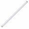 21W T5 34" Fluorescent Bulb - Cool White