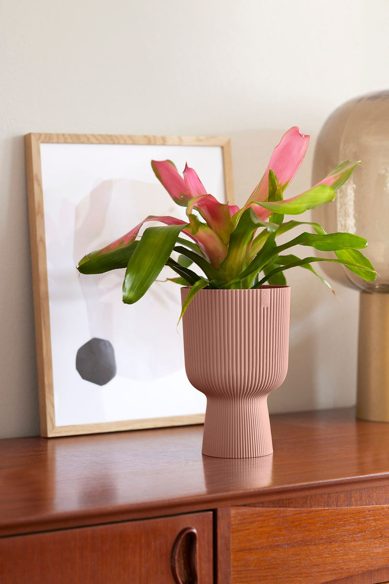 Vibes Fold 14cm Coupe Plastic Indoor Plant Pot - Delicate Pink