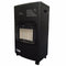 4.2kW Portable Gas Cabinet Heater - Irish Regulator