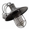 Greenhall Calgary Traditional Wire Guarded Iron Hanging Light, Black