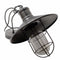 Calgary Wire Guarded Traditional Rustic Iron Ceiling Light