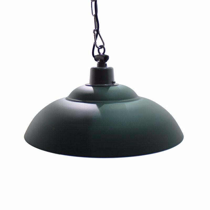 Greenhall Red Deer Traditional Iron Hanging Light, Green