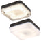 28W Square Emergency Bulkhead with Black Base - Opal Diffuser