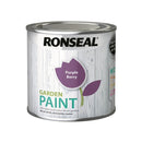 250ml Garden Paint - Purple Berry