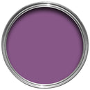 2.5L Garden Paint - Purple Berry