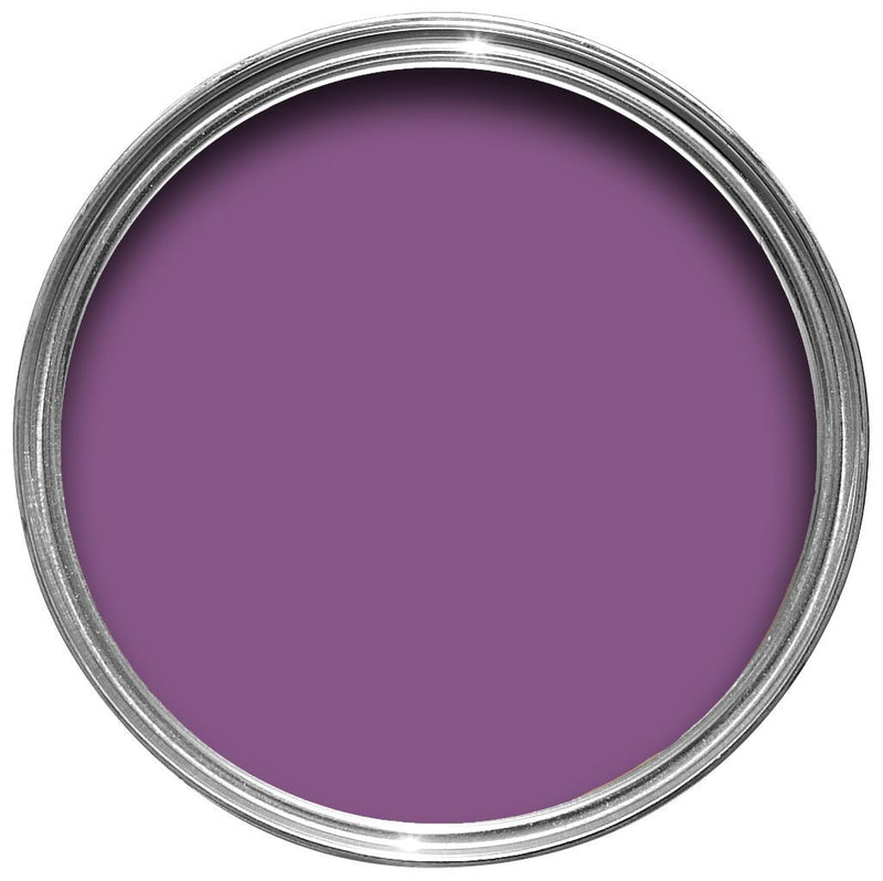 250ml Garden Paint - Purple Berry