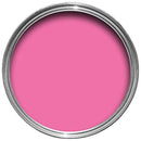 750ml Garden Paint - Pink Jasmine