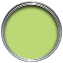 250ml Garden Paint - Lime Zest