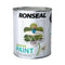 750ml Garden Paint - White Ash