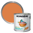 250ml Garden Paint - Sunburst