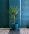 750ml Garden Paint - Elderflower