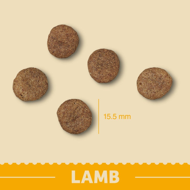 Complete Dry Senior Grain-Free Dog Food - Lamb - 10KG