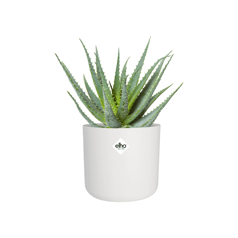 B.for Soft Round 14cm Pot - White