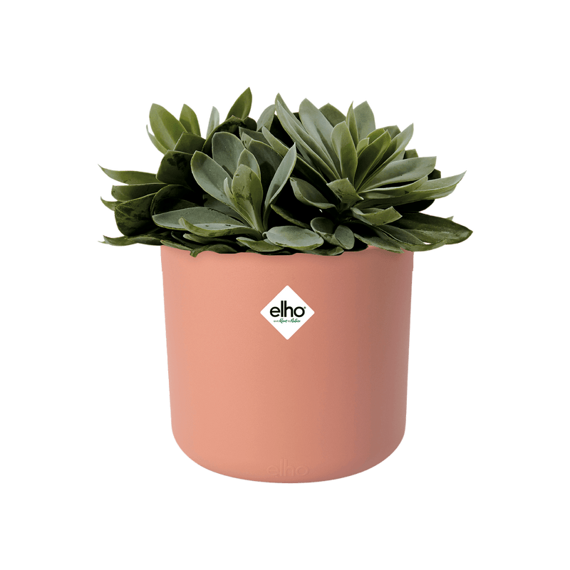 B.for Soft Round 14cm Pot - Delicate Pink
