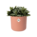 B.for Soft Round 16cm Pot - Delicate Pink