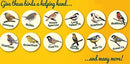 Complete Suet Cake Block for Wild Birds, Pack of 10