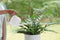 B.For Soft Watering Can 1.7L - White