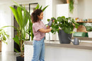 Brussels 0.7L Indoor Plant Sprayer - Anthracite