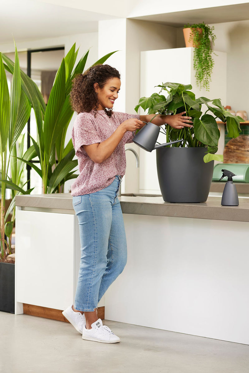 Brussels 1.8L Watering Can - Anthracite