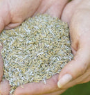 Aqua Gel Coated Smart Grass Lawn Seed, 250 m?, 10 kg Bag