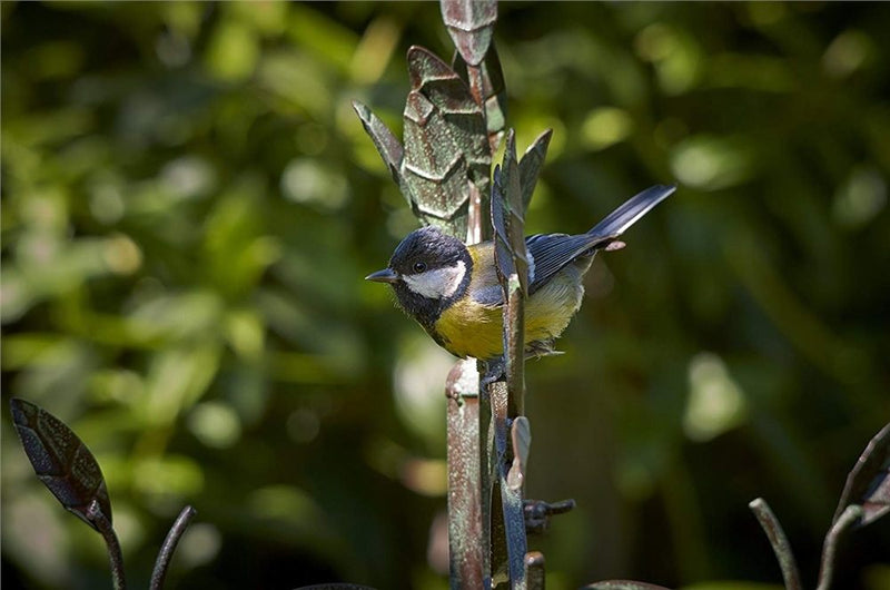 Secret Garden Dining Station for Wild Birds
