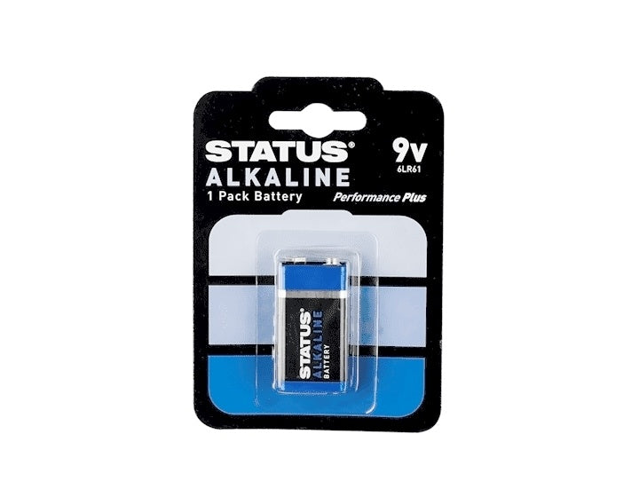 9V Alkaline Batteries - 1 Pack