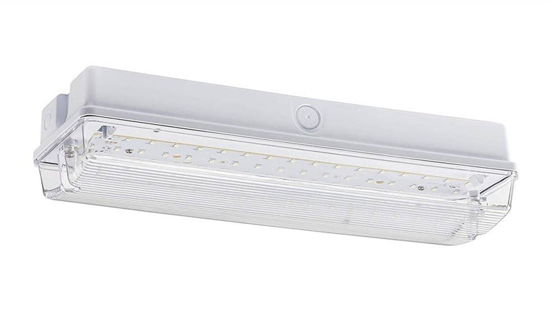 230V IP65 6W LED Emergency Bulkhead