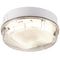 IP65 16W HF Round Bulkhead with Prismatic Diffuser and White Base