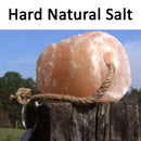Equestrian Salt Lick - Large