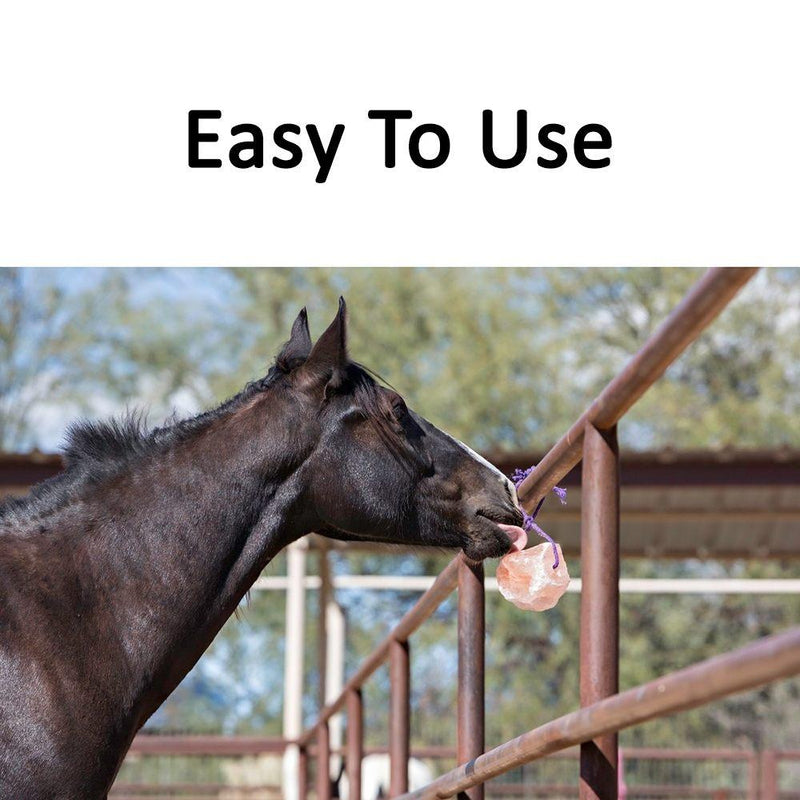 Equestrian Salt Lick - Large