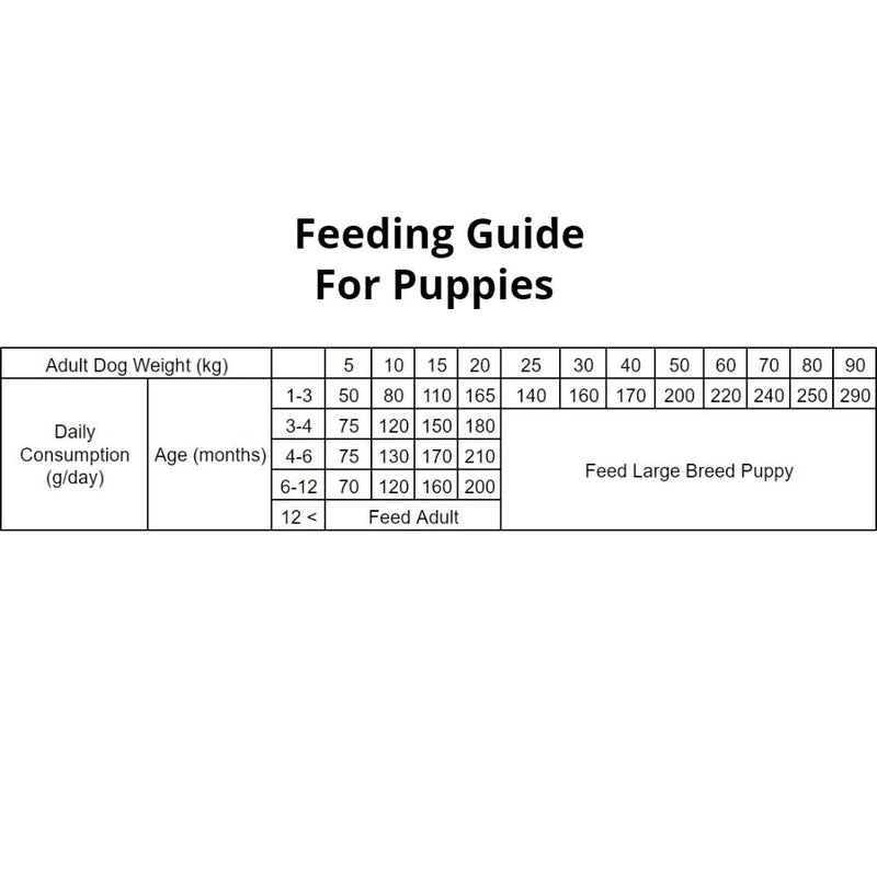 Puppy Food - 12KG - Salmon & Turkey - For Large Breed Puppies