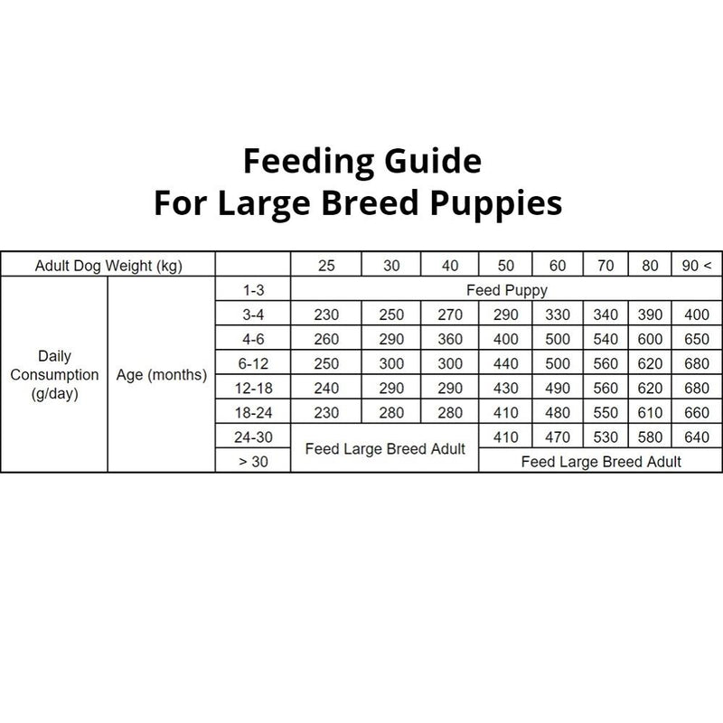 Puppy Food - 12KG - Salmon & Turkey - For Puppies