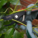 Bypass and Anvil Pruner Set