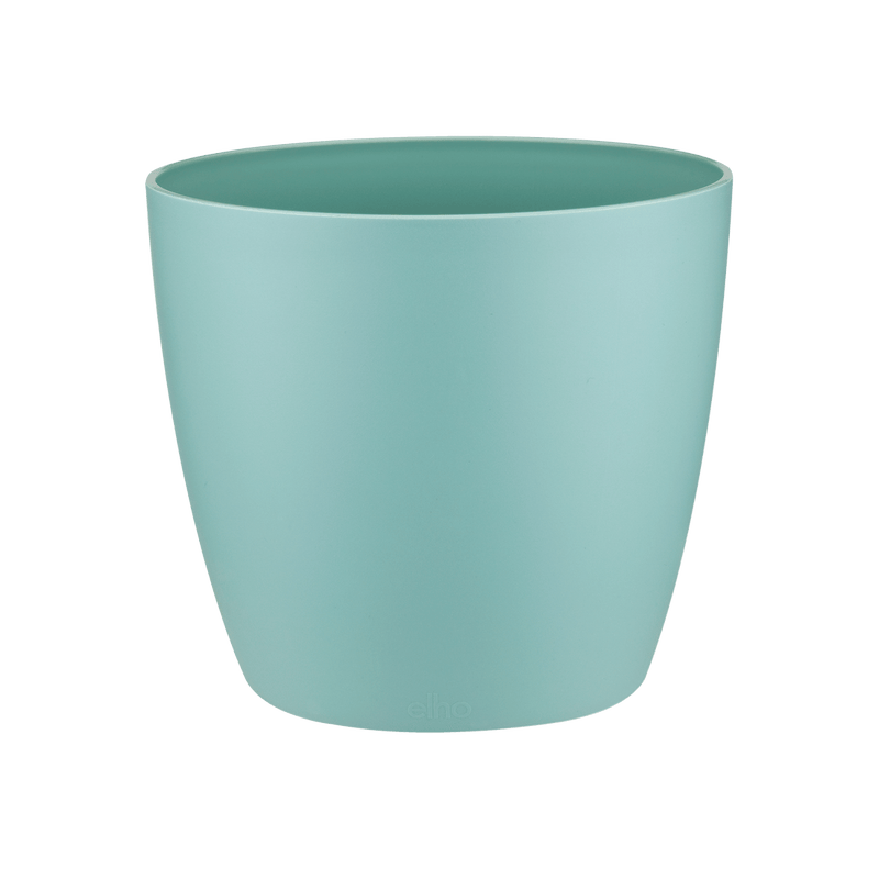 Brussels Round 14cm Pot - Mint